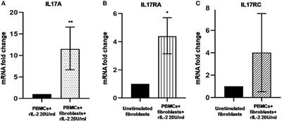 T-Cell Proapoptotic and Antifibrotic Activity Against Autologous Skin Fibroblasts in vitro Is Associated With IL-17A Axis Upregulation in Systemic Sclerosis